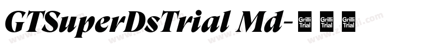 GTSuperDsTrial Md字体转换